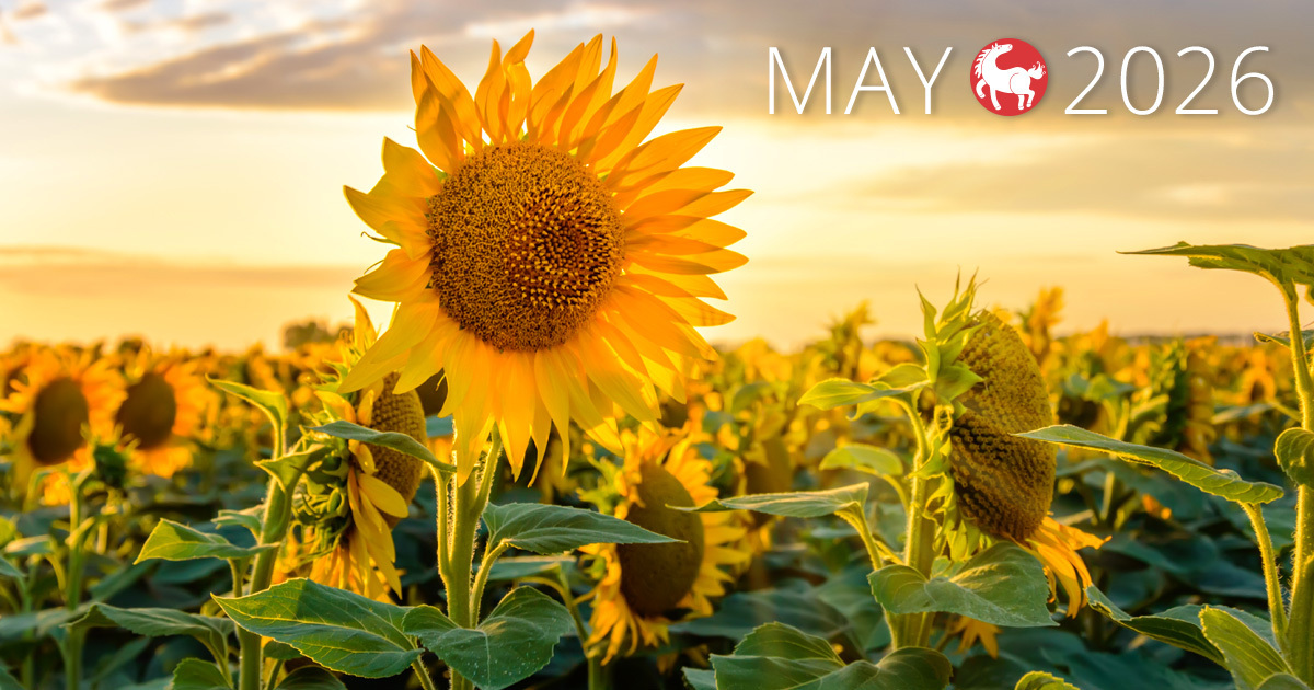 May flowers